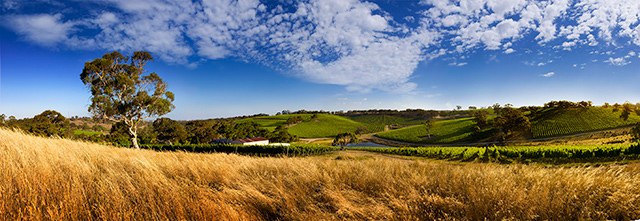 Adelaide Hills © Wine Australia